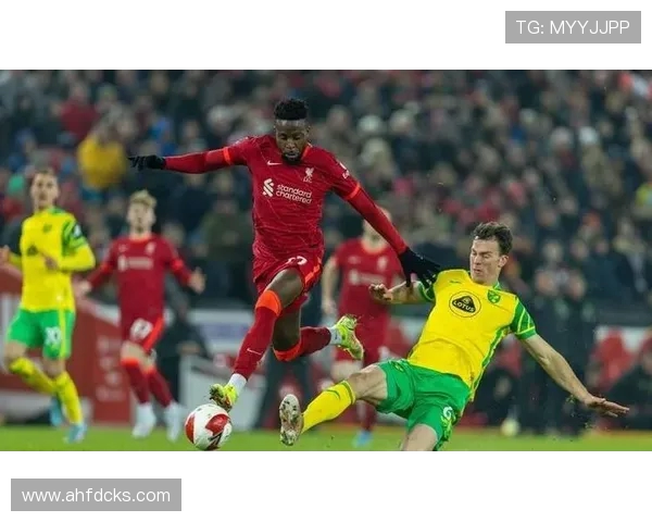 1.4 亿欧创纪录！利物浦夏窗豪购新核，瓜迪奥拉曼城重建受阻(2)