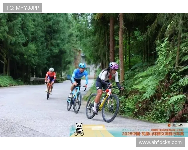 最美乌带路・骑游山水间：2025 伊春大箐山自行车赛开赛